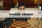 淘系电商运营  淘系运营规则