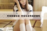 外贸获客引流  外贸引流专员好做吗