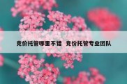 竞价托管哪里不错  竞价托管专业团队