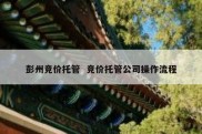 彭州竞价托管  竞价托管公司操作流程