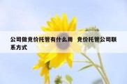 公司做竞价托管有什么用  竞价托管公司联系方式