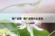 推广运营  推广运营什么意思
