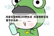 抖音引流吸粉100种办法  抖音吸粉引流是干什么的