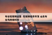 布谷短视频运营  短视频程序开发 山东布谷鸟网络科技