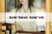 竞价推广项目分析  竞价推广计划