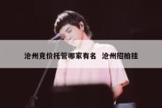 沧州竞价托管哪家有名  沧州招拍挂