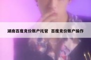 湖南百度竞价账户托管  百度竞价账户操作