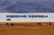 抖音最快涨1000粉（抖音如何快速1000粉）