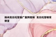 扬州竞价托管推广案例视频  竞价托管哪家便宜