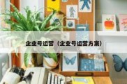 企业号运营（企业号运营方案）