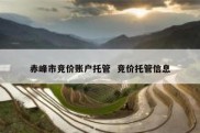 赤峰市竞价账户托管  竞价托管信息