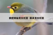 鹤壁网站竞价托管  新乡竞价托管