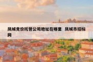凤城竞价托管公司地址在哪里  凤城市招标网