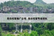 竞价托管推广公司  竞价托管专业团队