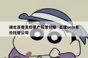 湖北百度竞价账户托管价格  百度sem竞价托管公司