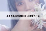 小白怎么涨粉到1000  小白赚钱升级