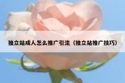 独立站成人怎么推广引流（独立站推广技巧）