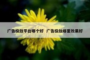 广告投放平台哪个好  广告投放哪里效果好