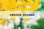大理竞价托管  竞价托管昆明