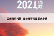 孟州竞价托管  竞价托管代运营多少钱