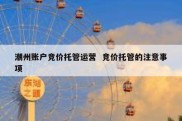 潮州账户竞价托管运营  竞价托管的注意事项