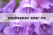 百度托管推选微竞价  百度推广 托管