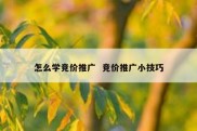 怎么学竞价推广  竞价推广小技巧