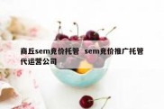 商丘sem竞价托管  sem竞价推广托管代运营公司