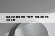 青浦区百度竞价账户托管  百度sem竞价托管公司