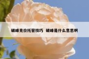破峰竞价托管技巧  破峰是什么意思啊