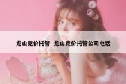 龙山竞价托管  龙山竞价托管公司电话
