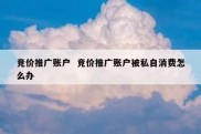 竞价推广账户  竞价推广账户被私自消费怎么办
