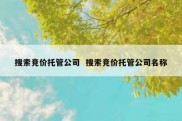 搜索竞价托管公司  搜索竞价托管公司名称