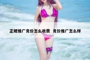 正规推广竞价怎么收费  竞价推广怎么样