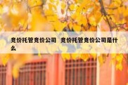 竞价托管竞价公司  竞价托管竞价公司是什么