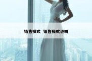 销售模式  销售模式说明