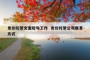 竞价托管文案短句工作  竞价托管公司联系方式