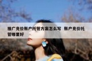 推广竞价账户托管方案怎么写  账户竞价托管哪里好
