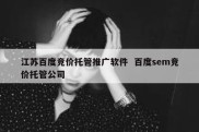 江苏百度竞价托管推广软件  百度sem竞价托管公司
