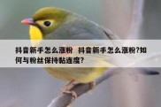 抖音新手怎么涨粉  抖音新手怎么涨粉?如何与粉丝保持黏连度?