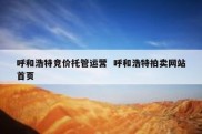 呼和浩特竞价托管运营  呼和浩特拍卖网站首页