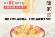 湖南竞价托管服务商  竞价托管服务多少钱