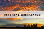 汉口竞价托管方案  武汉竞价托管外包公司