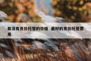 有没有竞价托管的价格  最好的竞价托管费用