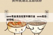 sem专业竞价托管不限行业  sem竞价好学吗