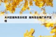 大兴区搜狗竞价托管  搜狗竞价推广开户流程
