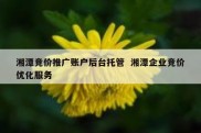 湘潭竞价推广账户后台托管  湘潭企业竞价优化服务