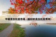 中国竞价托管市场（最好的竞价托管费用）