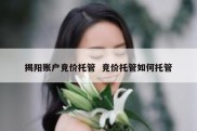 揭阳账户竞价托管  竞价托管如何托管