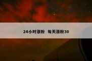 24小时涨粉  每天涨粉30